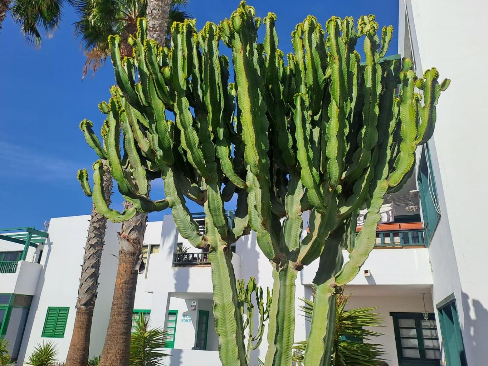 Azul Tuscan Playa Y Piscina Costa Teguise Exterior foto